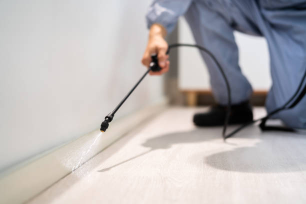 Licensed Pest Control service in Pittsburg, TX - Show Me Pest Control
