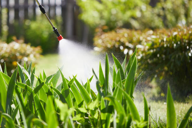Tamper-Resistant Bait Stations for Rodents in Pittsburg