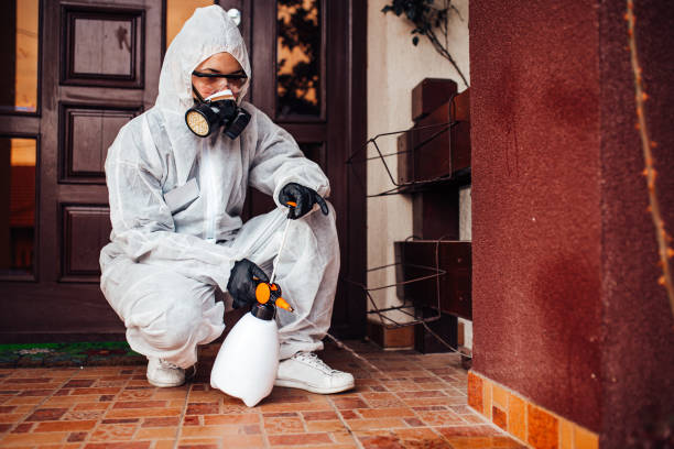 Attic and Crawl Space Rodent Treatment in Pittsburg