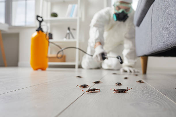 Commercial Rodent Management in Pittsburg
